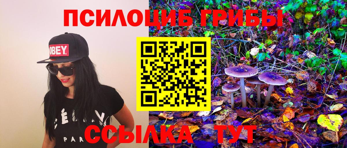 Псилоцибиновые грибы мицелий Новомосковск