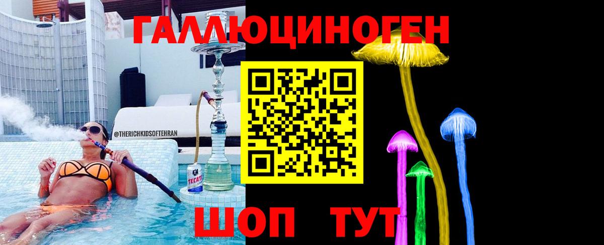 Галлюциногенные грибы Psilocybe  Вход с VPN  Новомосковск 